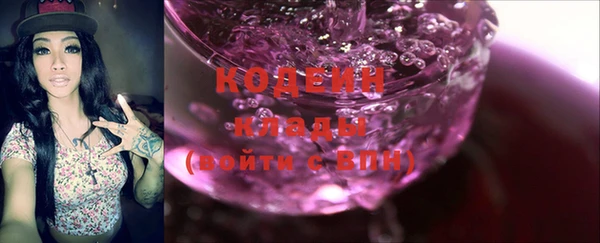 дживик Бронницы