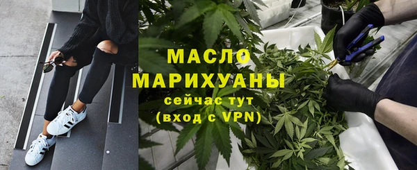 дживик Бронницы