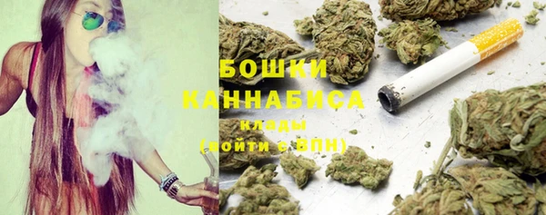 дживик Бронницы
