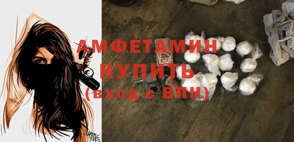 дживик Бронницы
