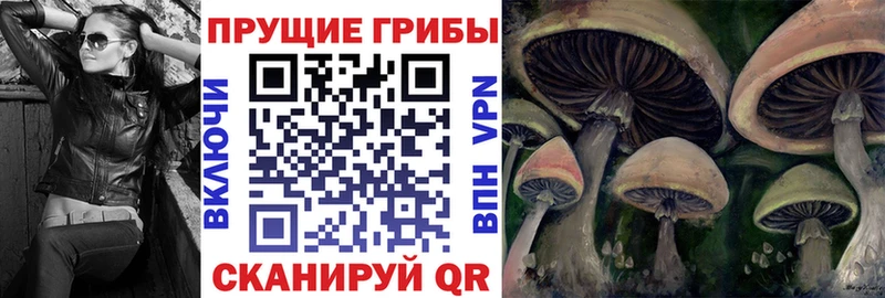 Псилоцибиновые грибы Magic Shrooms  Купино 