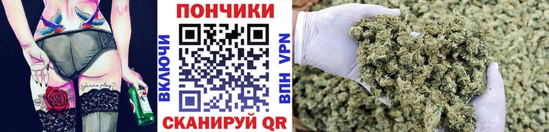 Канабис Amnesia  МЕГА tor  Купино 